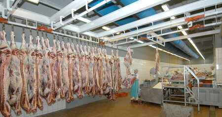 Дезинсекция на мясокомбинате в Дубне, цены на услуги