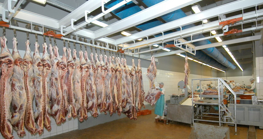 Дезинсекция на мясокомбинате в Дубне, цены на услуги